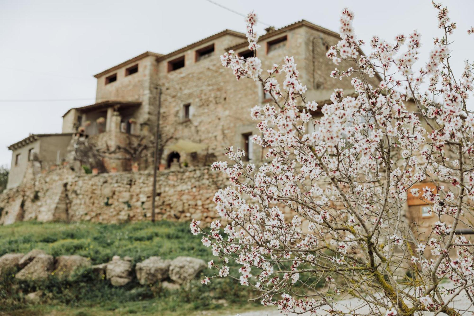 Masia Aubareda San Martín de Tous Exteriér fotografie